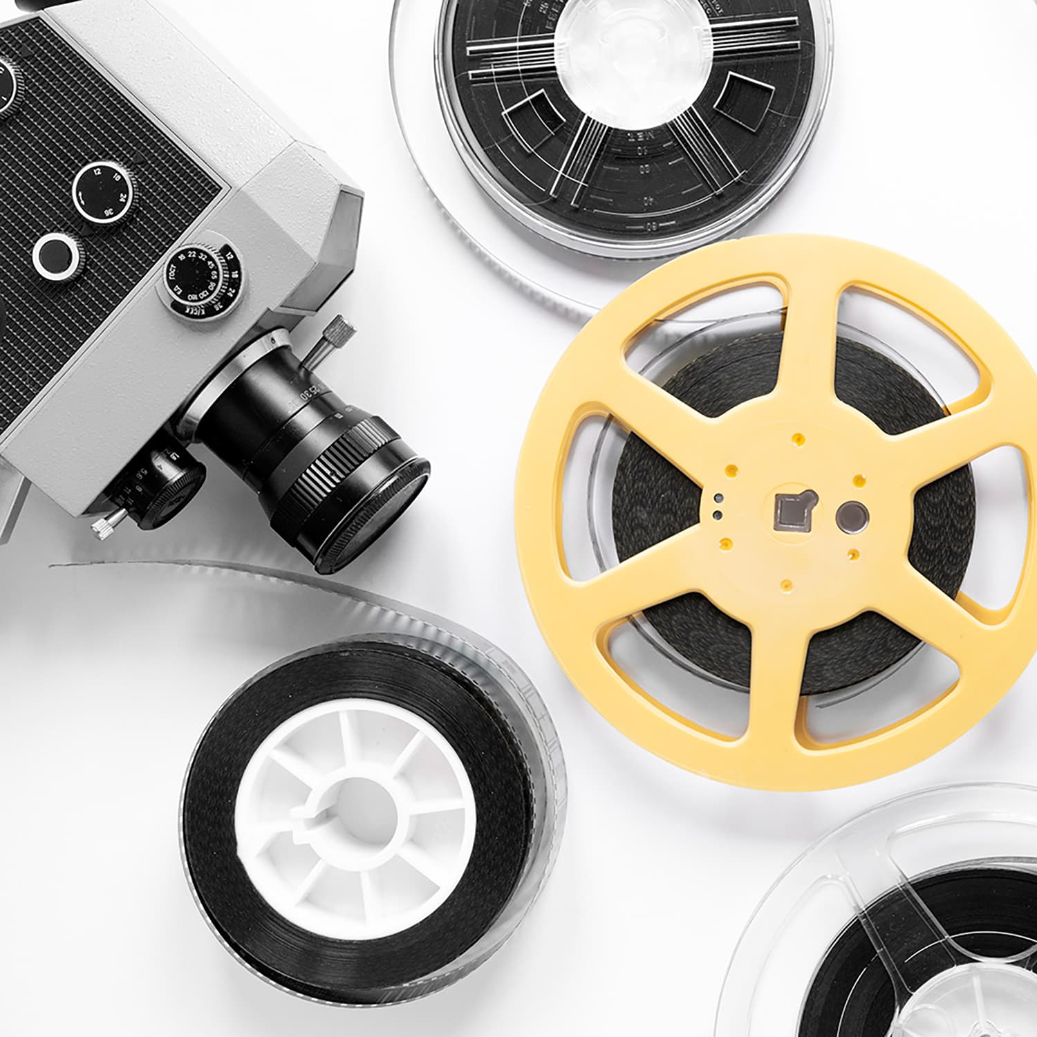 Proiezione documentario o film